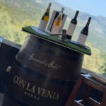 Cata de Vinos en Ronda