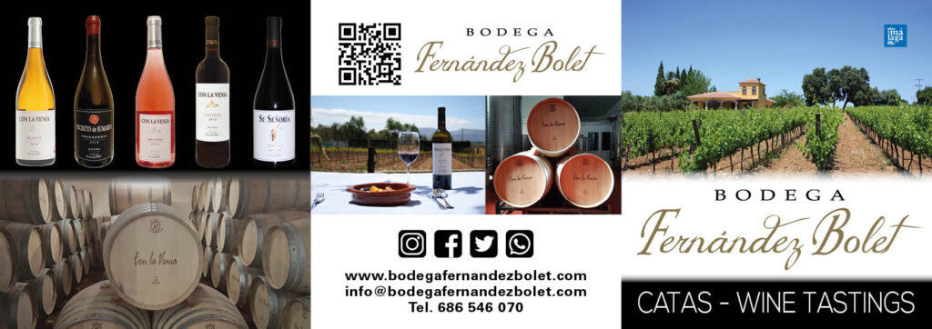 Cata de vinos en Ronda