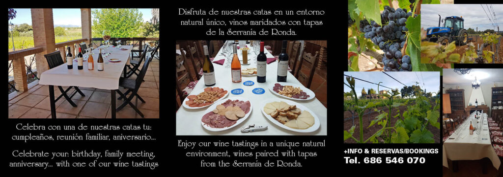 Bodega para catas en Ronda